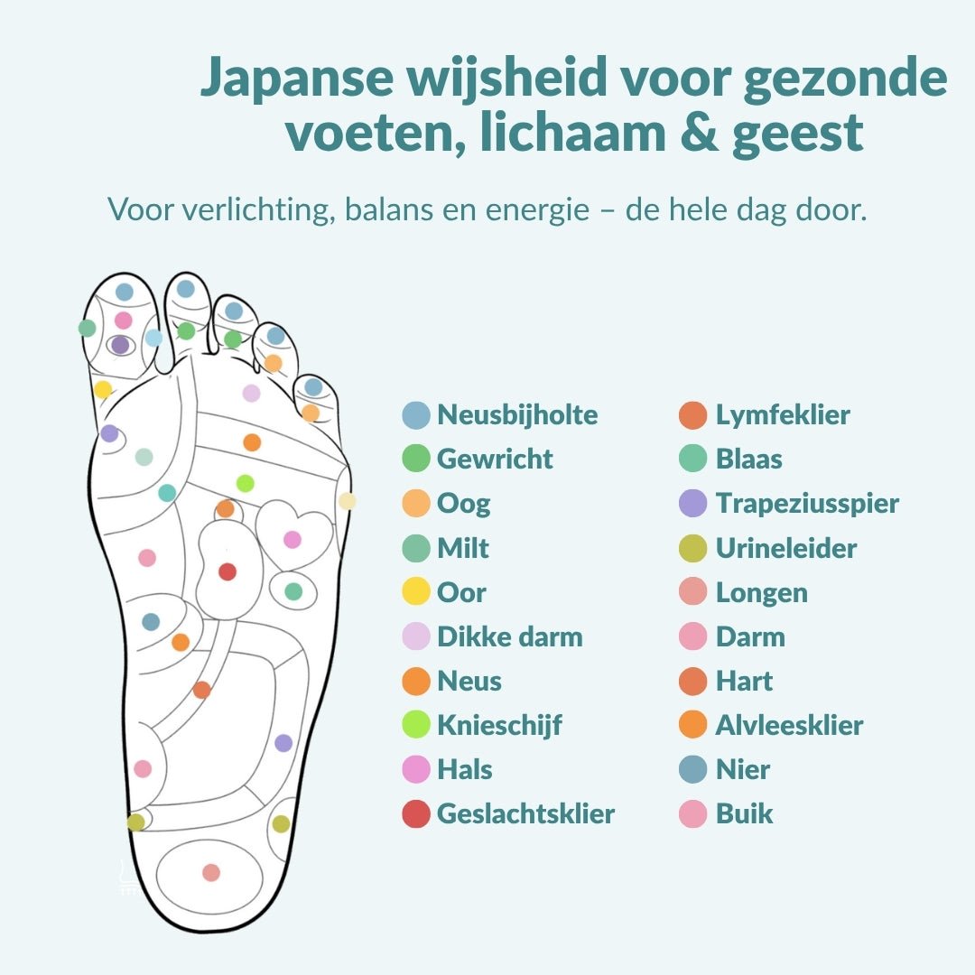 Serazool - Magnetische inlegzolen | 1 + 1 GRATIS