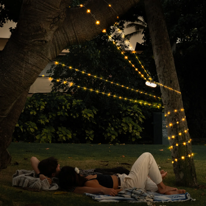 SmartLight - Laad op Zonne-energie